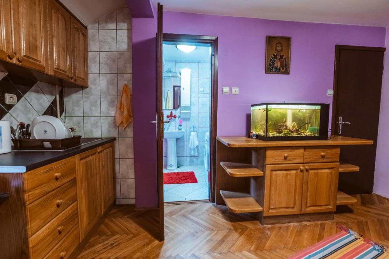 Ostello Laufer Novi Sad Esterno foto
